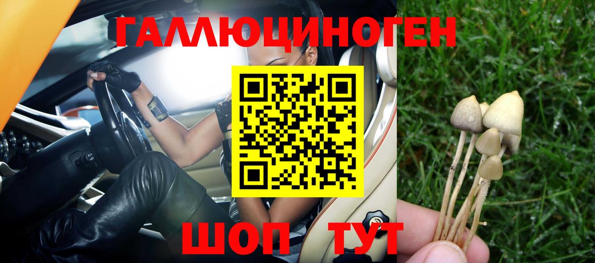 Ханты-Мансийск  Псилоцибиновые грибы GOLDEN TEACHER  Вход с VPN 